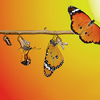 Unlocking the Connection: Human Development and Social-Emotional Excellence Banner